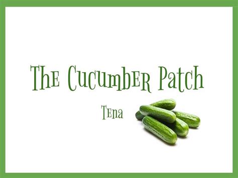 Pin Di Tena Greenwald Su The Cucumber Patch