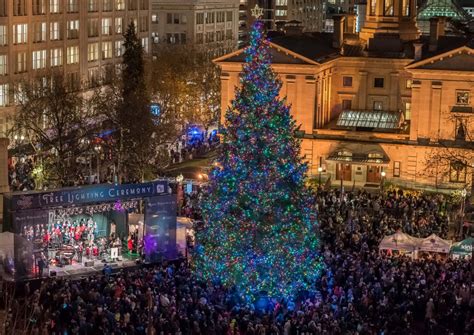 10 Unforgettable Christmas Tree Lighting Experiences