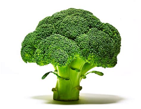 Broccoli Juice Could Keep Diabetes And Even Prevent The Condition