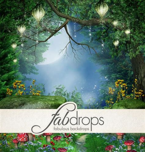 Fab Drops Enchanted Forest Fairy Photo Backdrop Fairies Photos