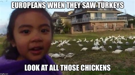 Look At All Those Chickens Imgflip