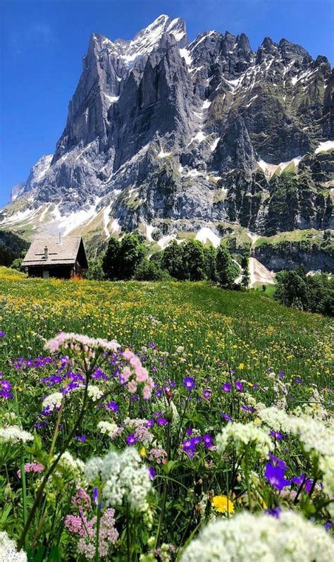Switzerland Beautiful Landscapes Scenery Nature Photography