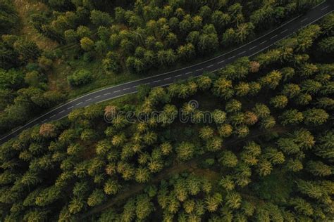 Aerial View A Forest And A Country Road Stock Photo Image Of Green