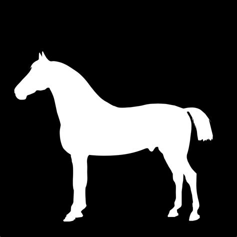 Free 18 Horse Silhouettes In Vector Eps Ai