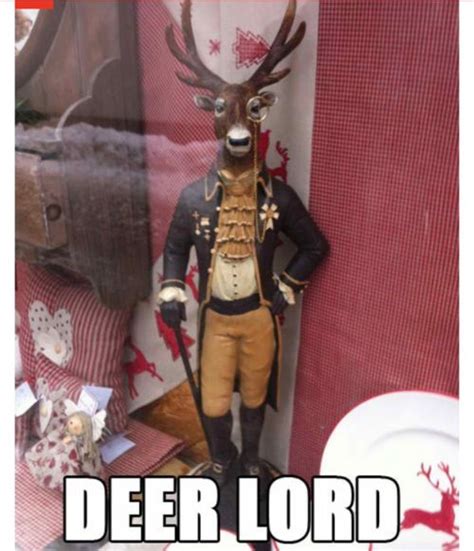 Deer Bad Puns Funny Puns Funny Stuff Funny Things Awesome Things
