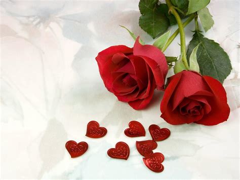Wallpaper Roses Flowers Two Red Heart Love Hd Widescreen High
