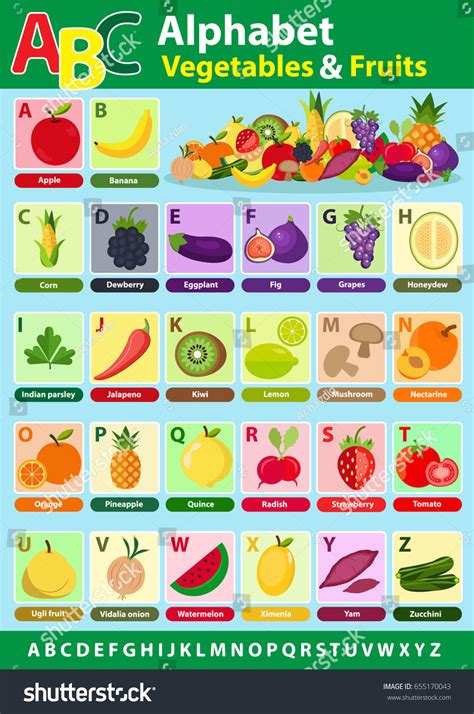 List Of Vegetables A Z With Pictures