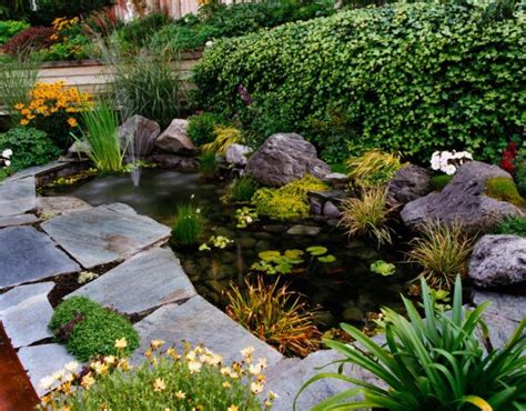 Bassin de jardin avec cascade et nénuphars splendides. amenagement jardin avec bassin - le spécialiste de la ...