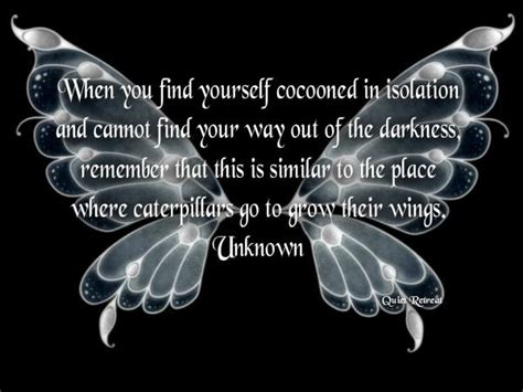 Butterfly Struggle And Strength Quotes Quotesgram