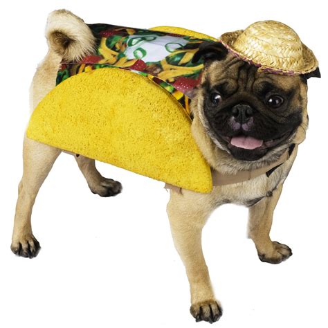 14 Cute Dogs In Yummy Food Costume Amazing Doggies