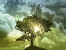 ScriptureSight: The Tree of Life