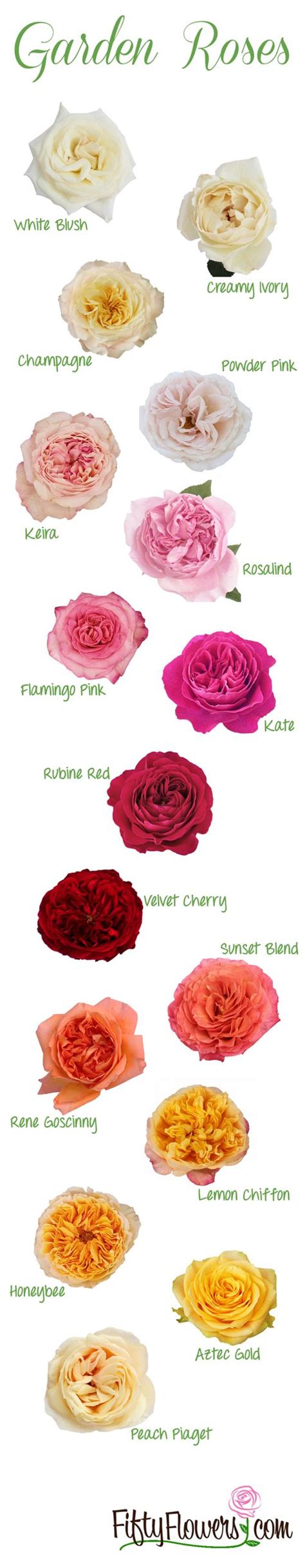 These Are Just Some Of The Gorgeous Garden Roses Available At
