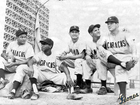 60 años del gato mayor: Leones del Caracas ~ Simplemente Venezuela (Veneçiuela)