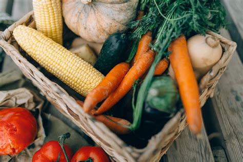 Jardin Conseils Pour D Marrer Son Potager Le Kaba