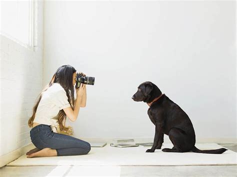 Sesiones Para Mascotas Captura Su Lado Animal Fotógrafos