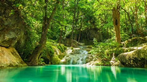 Waterfalls Between Green Trees With Reflection Of Trees On The Calm