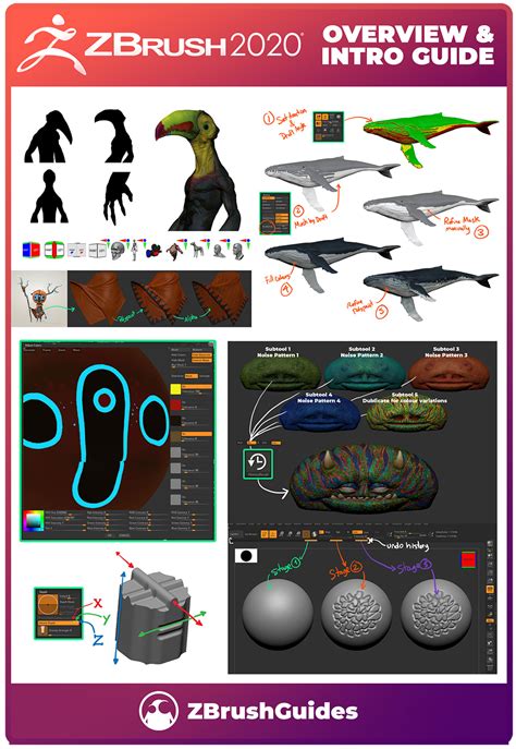 Zbrush 2020 Overview And Intro Guide Zbrushcentral