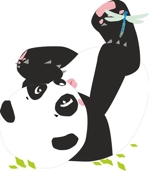 Playful Baby Panda Clipart Free Download Transparent Png Creazilla