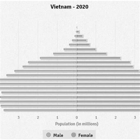 Age Structure Of The Population In Viet Nam 2020 Source 44 Download Scientific Diagram