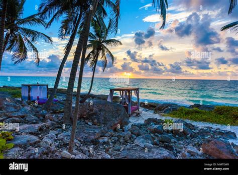 Sunset At Paradise Beach Chairs Under The Palm Trees On Beach At
