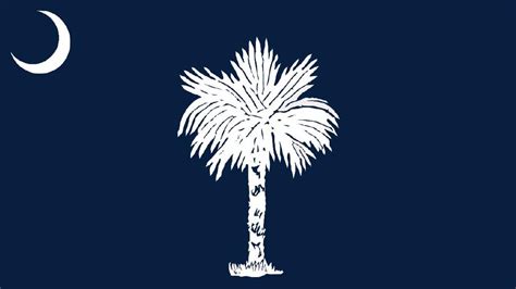 South Carolina State Flag Design Heads To State Senate Again