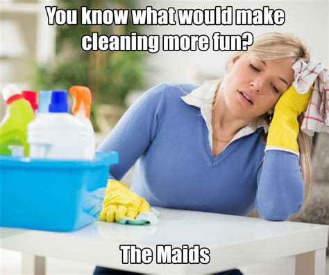 6 Cleaning Memes That Will Make Your Day The Maids Blog