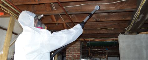 Costs range from the price of some cleaning products and some elbow grease to thousands in professional restoration services like shown above. crawl-space-mold-remediation-nj - Mastertech Environmental