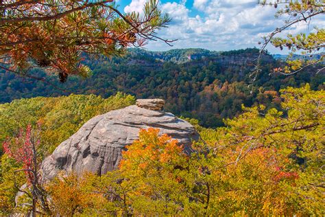 Daniel Boone National Forest Red River Gorge Geological Area