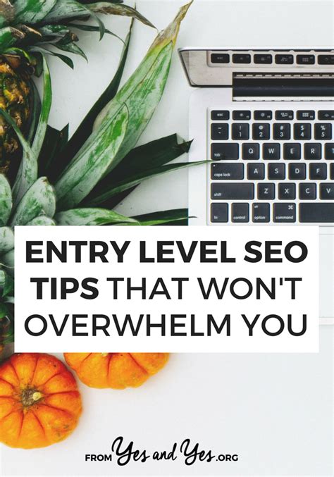 All of your search engine optimization resources in one place to land that first job. Entry Level SEO Tips That Won't Overwhelm You