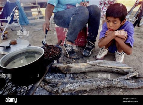 six year old thurman yazzie waits for his mother wanda segina to finish cooking pinon nuts for