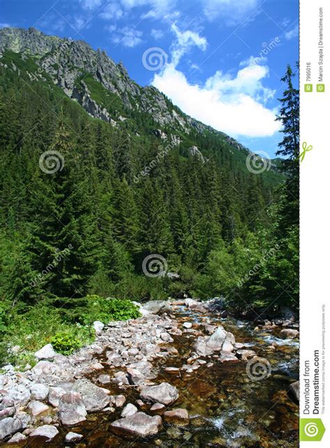 Beautiful Mountain Forest With River Royalty Free Stock
