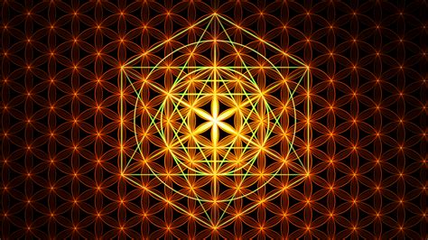 Is Sacred Geometry A Key For Enlightenment Sociedelic Flower Of