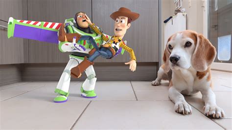 Dogs Vs Toy Storys Buzz In Real Life Animation Youtube