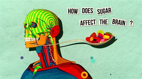 Watch How Sugar Affects The Brain The Science Explorer