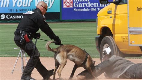 Glendale Police Department K 9 Dogs In Action