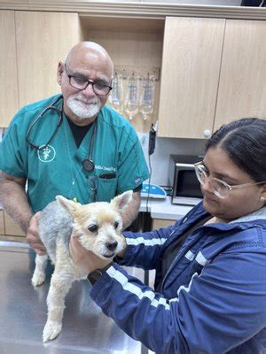 MUELLER ANIMAL HOSPITAL - Updated July 2024 - 56 Photos & 33 Reviews