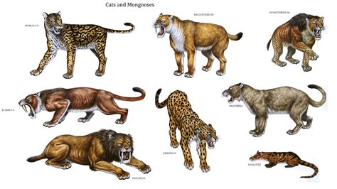 Cats And Mongooses Mammal Like Dinosaurs In 2023 Prehistoric