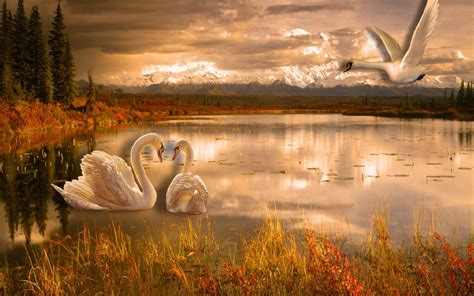 Romantic Nature Background Images Wallpaper Cave