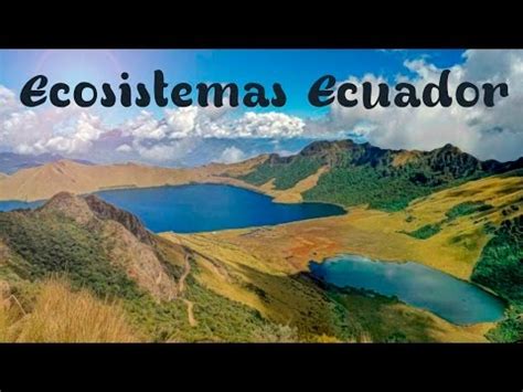 El clima en el ecuador continental presenta numerosas variables. Principales Ecosistemas del Ecuador ¿Cuáles son? 2020 los ...