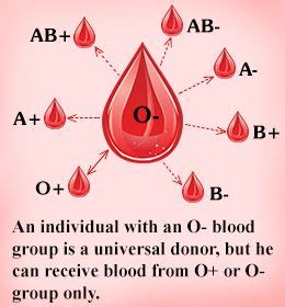 Blood types determine who you can give blood to and receive blood from. Concept of universal blood donor and receiver | Phlebotomy ...