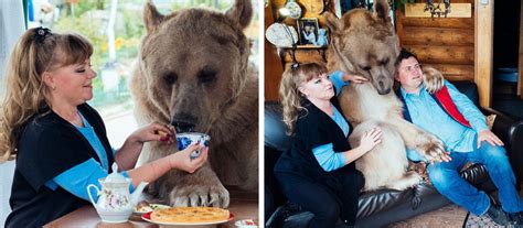 Russian Couple Adopted An Orphaned Bear Cub 25 Years Ago And They Still Live Together Women
