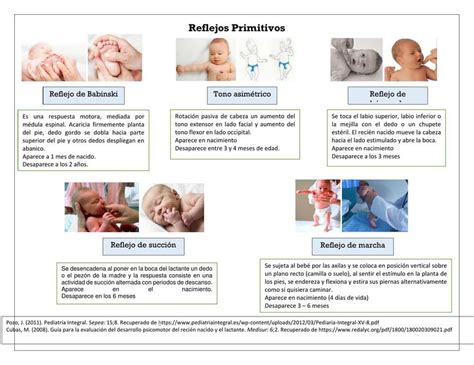 Reflejos Primitivos | uDocz