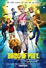 Birds of Prey DVD Release Date | Redbox, Netflix, iTunes, Amazon