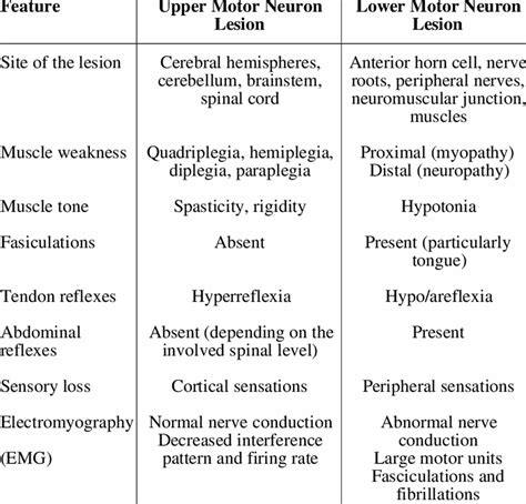 Upper Vs Lower Motor Neuron Signs