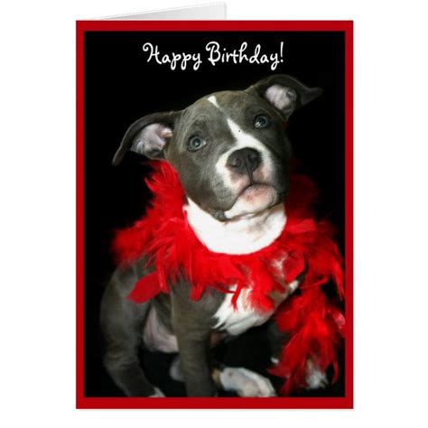 Happy Birthday Blue Pitbull Puppy Greeting Card