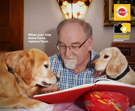 Dogs Change Human Lives And This Ad Campaign Proves It