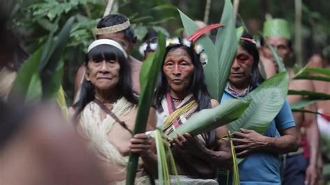 Todo Lo Que Debes Saber Sobre Las Tribus Del Amazonas Renovables Verdes