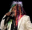 George Clinton – 2013 Must-See R&B Concerts