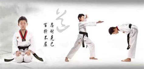 +82 31 708 9994 fax: 跆拳道是一项什么样的运动？_百度知道