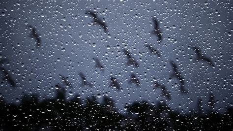 1920x1080 1920x1080 Glass Drops Window Rain Night Rain Drops On
